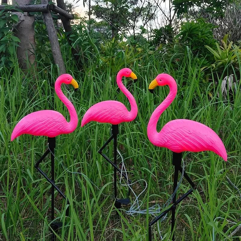 Flamingo Lyserød lys sol – Magisk have om natten 